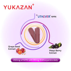 Yukazan NMN+ 30's Energy Boost Anti Aging Supplement NAD+ / Support Cellular Repair