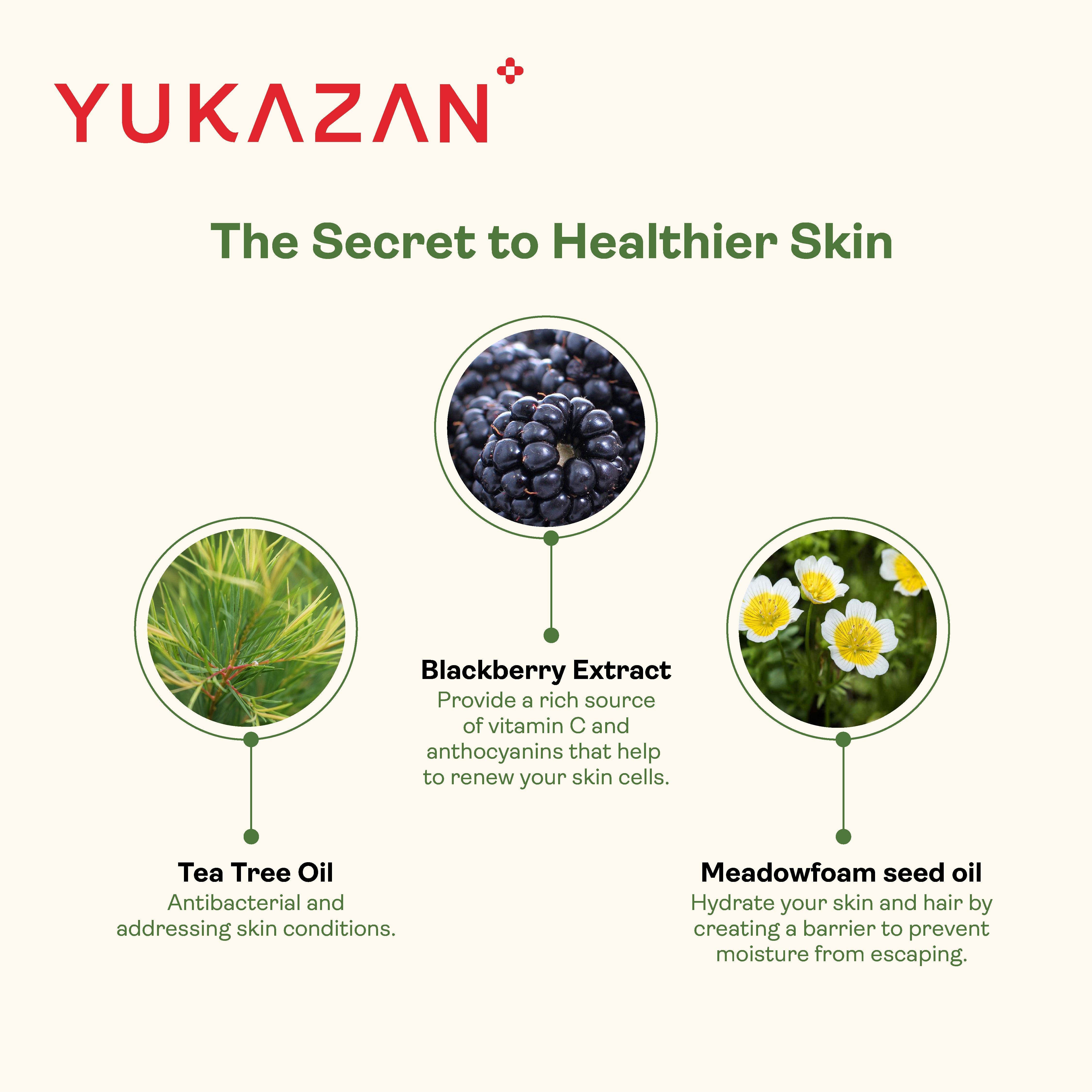Yukazan Lime Basil Body Wash 230ml Shower Foam / Antibacterial and Alcohol Free / Body Shampoo